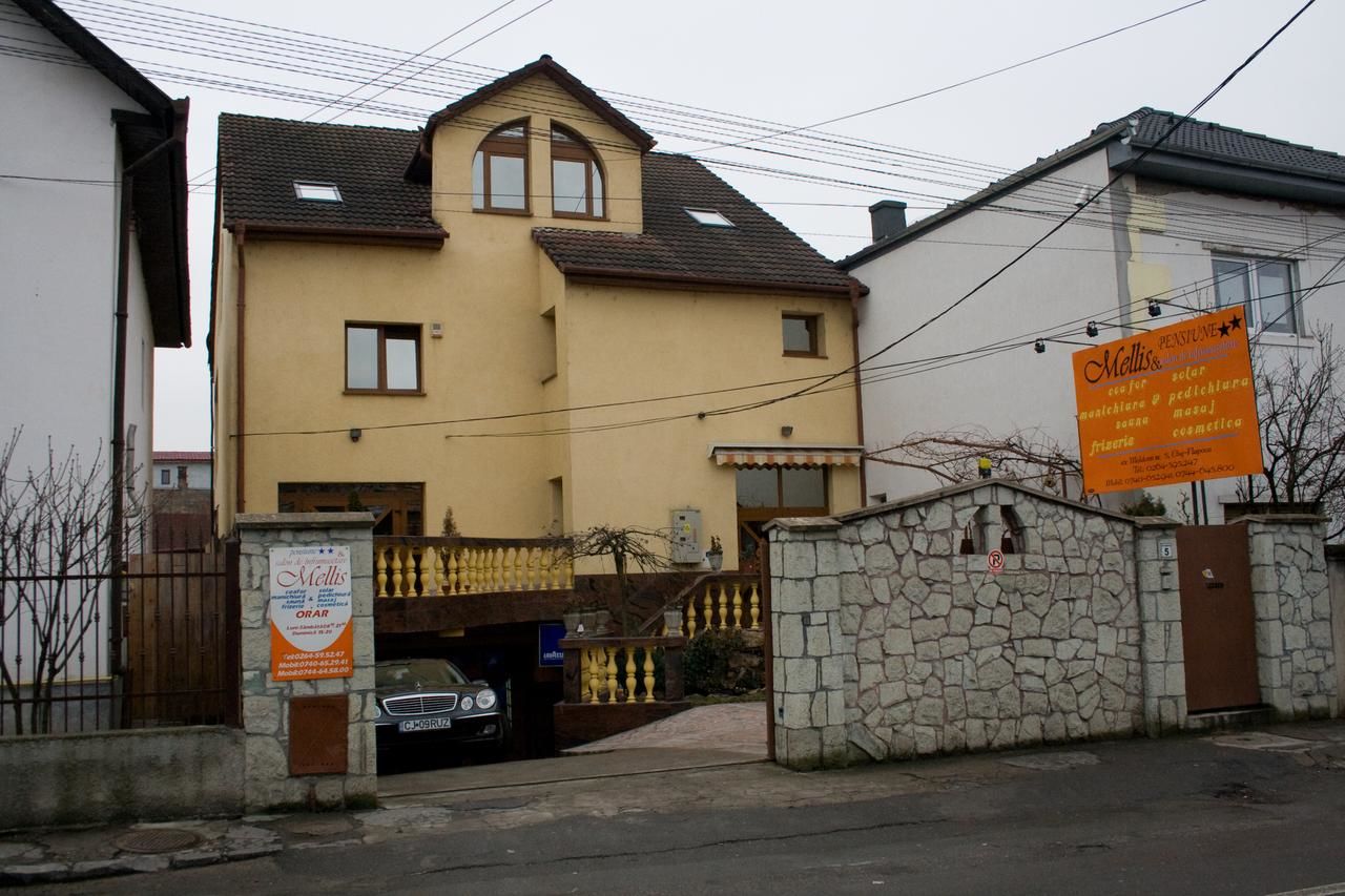 Гостевой дом Pension Mellis Cluj Napoca Клуж-Напока-4