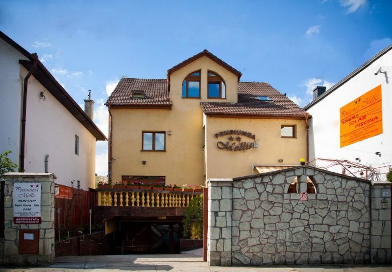 Гостевой дом Pension Mellis Cluj Napoca Клуж-Напока-33