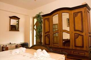 Гостевой дом Pension Mellis Cluj Napoca Клуж-Напока Стандартный двухместный номер с 1 кроватью или 2 отдельными кроватями-3